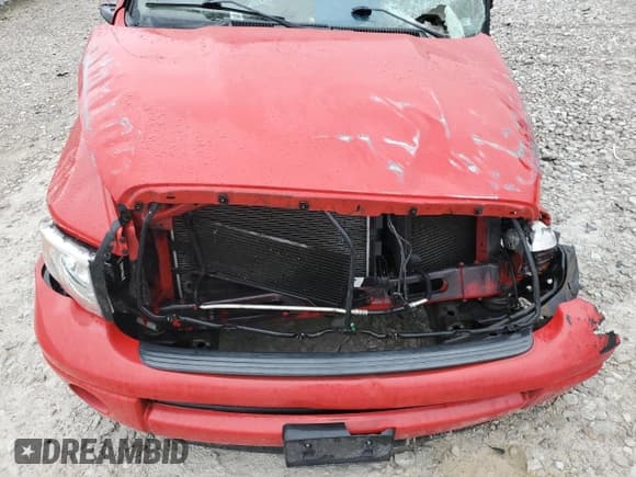 ✅ 2004 Dodge 1500 SLT • VIN: 1D7HA18D94S610301 • Лот: 85014264. Опубликован ранее на Copart с пробегом Не указан. Бесплатный доступ к архиву аукционных продаж из США и подробный отчёт об истории автомобиля на DreamBid. Изображение 11.