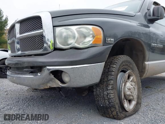 ✅ 2003 Dodge 2500 ST • VIN: 3D7KU28DX3G822634 • Лот: 43523499. Опубликован ранее на IAAI с пробегом 219 119 миль. Бесплатный доступ к архиву аукционных продаж из США и подробный отчёт об истории автомобиля на DreamBid. Изображение 19.