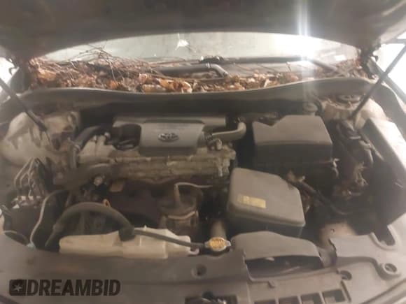 ✅ 2012 Toyota Camry XLE • VIN: 4T4BF1FK2CR230160 • Лот: 43842421. Опубликован ранее на IAAI с пробегом 289 630 миль. Бесплатный доступ к архиву аукционных продаж из США и подробный отчёт об истории автомобиля на DreamBid. Изображение 10.