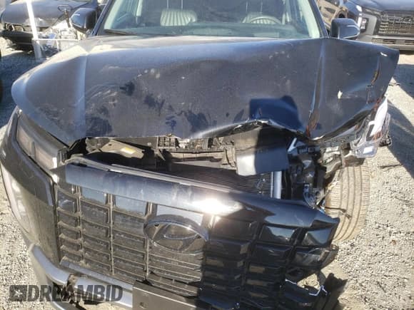 ✅ 2024 Hyundai Palisade Limited • VIN: KM8R54GE4RU758054 • Лот: 84889994. Опубликован ранее на Copart с пробегом 12 745 миль. Бесплатный доступ к архиву аукционных продаж из США и подробный отчёт об истории автомобиля на DreamBid. Изображение 12.