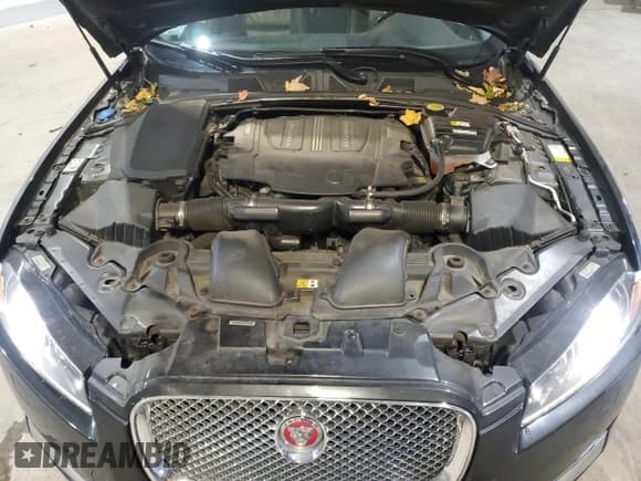 ✅ 2014 Jaguar XF SC • VIN: SAJWJ0EF2E8U09115 • Лот: 91767285. Опубликован ранее на Copart с пробегом 80 403 миль. Бесплатный доступ к архиву аукционных продаж из США и подробный отчёт об истории автомобиля на DreamBid. Изображение 11.