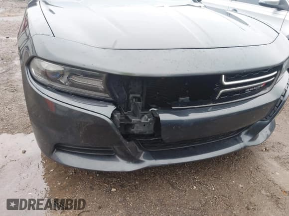 ✅ 2016 Dodge Charger SE • VIN: 2C3CDXBG1GH109467 • Lot: 43544753. Listed on IAAI with 176,804 mi. Free auction sales archive from the USA and detailed vehicle history report at DreamBid. Image 6.