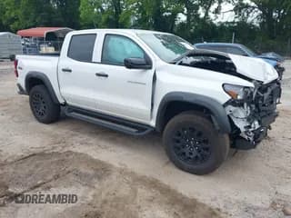 ✅ 2024 Chevrolet Colorado 4WD Trail Boss • VIN: 1GCPTEEK4R1204286 • Лот: 42425386. Опубликован ранее на IAAI с пробегом 20 556 миль. Бесплатный доступ к архиву аукционных продаж из США и подробный отчёт об истории автомобиля на DreamBid. Изображение 1.