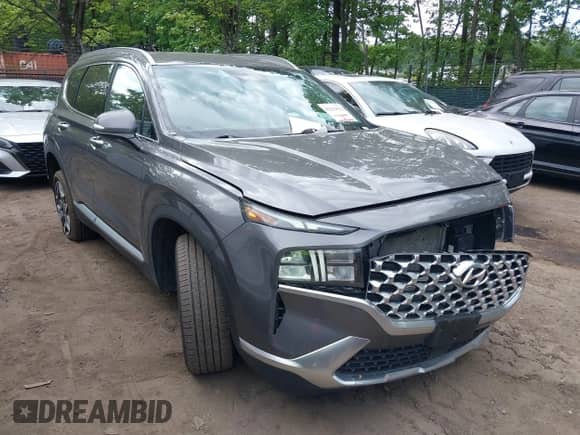 2023 Hyundai Santa Fe SEL Convenience with VIN KM8S6DA23PU099636, listed as a IAAI auction lot 42212551 with 34,217 mi miles and . Bid and sale history available at DreamBid. Image 1.