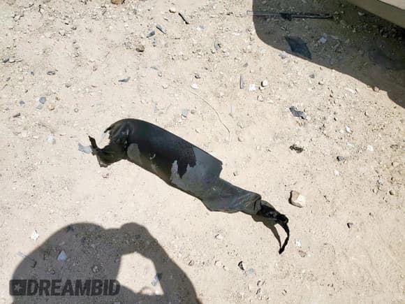 ✅ 2002 Volkswagen Jetta GLS • VIN: 3VWSP69M52M062357 • Lot: 65310785. Wystawiony na Copart z przebiegiem Nie podano. Bezpłatny archiwum sprzedaży aukcyjnych z USA i szczegółowy raport historii pojazdu na DreamBid. Zdjęcie 12.