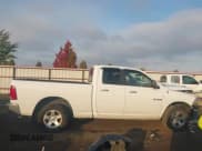 ✅ 2010 Dodge 1500 SLT • VIN: 1D7RV1GP1AS173748 • Lot: 43566678. Listed on IAAI with 169,034 mi. Free auction sales archive from the USA and detailed vehicle history report at DreamBid. Image 12.
