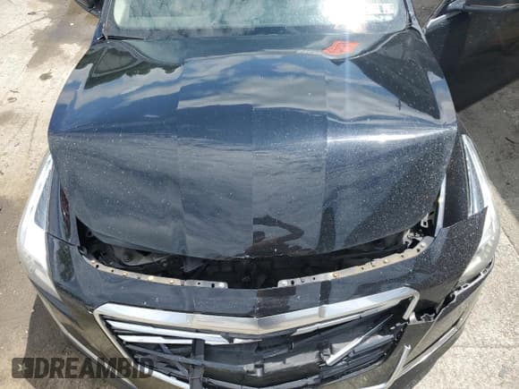 ✅ 2016 Cadillac CTS Luxury Collection RWD • VIN: 1G6AR5SSXG0119158 • Лот: 61412355. Опубликован ранее на Copart с пробегом 86 731 миль. Бесплатный доступ к архиву аукционных продаж из США и подробный отчёт об истории автомобиля на DreamBid. Изображение 11.