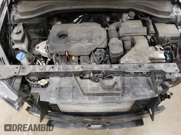 ✅ 2019 Hyundai Santa Fe SEL • VIN: 5NMS3CAD6KH085674 • Lot: 49876774. Wystawiony na Copart z przebiegiem 56 164 mil. Bezpłatny archiwum sprzedaży aukcyjnych z USA i szczegółowy raport historii pojazdu na DreamBid. Zdjęcie 11.