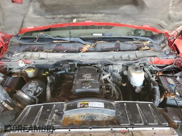 ✅ 2012 Ram 2500 Big Horn • VIN: 3C6UD5DL2CG259524 • Lot: 60359255. Listed on Copart with 174,698 mi. Free auction sales archive from the USA and detailed vehicle history report at DreamBid. Image 11.