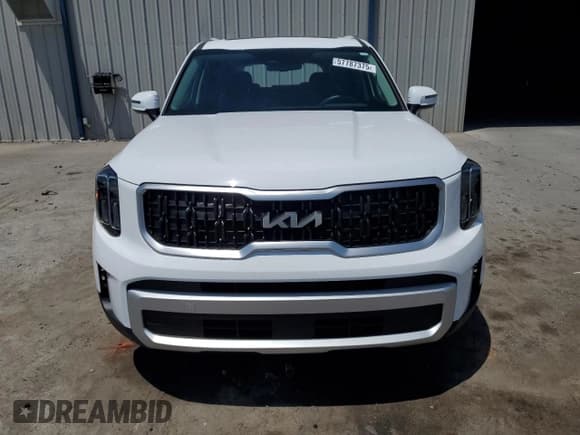 ✅ 2024 Kia Telluride EX • VIN: 5XYP34GCXRG549547 • Lot: 57787375. Listed on Copart with 17,569 mi. Free auction sales archive from the USA and detailed vehicle history report at DreamBid. Image 5.
