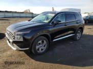 ✅ 2021 Hyundai Santa Fe SEL • VIN: 5NMS3DAJ8MH322146 • Lot: 41924703. Wystawiony na Copart z przebiegiem 20 139 mil. Bezpłatny archiwum sprzedaży aukcyjnych z USA i szczegółowy raport historii pojazdu na DreamBid. Zdjęcie 1.