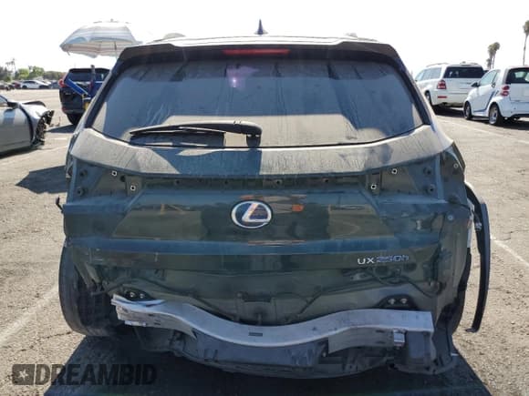 ✅ 2021 Lexus UX 250h • VIN: JTHX9JBH5M2050091 • Lot: 66308795. Listed on Copart with 95,722 mi. Free auction sales archive from the USA and detailed vehicle history report at DreamBid. Image 6.