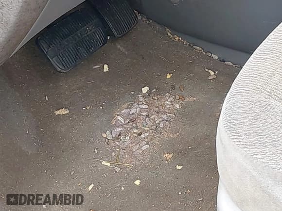 ✅ 2003 Ford Windstar LX • VIN: 2FMZA51403BA84354 • Lot: 42246045. Listed on IAAI with Not provided. Free auction sales archive from the USA and detailed vehicle history report at DreamBid. Image 11.