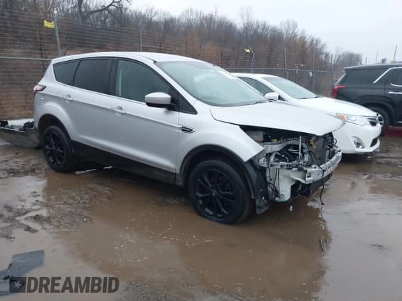 ✅ 2017 Ford Escape SE • VIN: 1FMCU0GD1HUE39735 • Lot: 41465712. Wystawiony na IAAI z przebiegiem 115 747 mil. Bezpłatny archiwum sprzedaży aukcyjnych z USA i szczegółowy raport historii pojazdu na DreamBid. Zdjęcie 1.