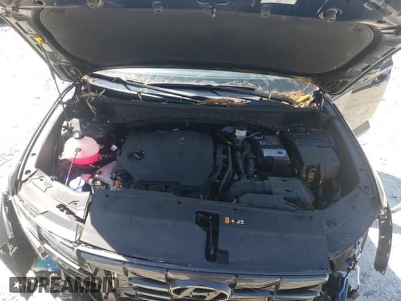 ✅ 2022 Hyundai Tucson SEL • VIN: 5NMJF3AE6NH115577 • Lot: 48358603. Wystawiony na Copart z przebiegiem 12 251 mil. Bezpłatny archiwum sprzedaży aukcyjnych z USA i szczegółowy raport historii pojazdu na DreamBid. Zdjęcie 12.