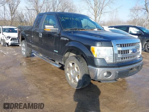 ✅ 2014 Ford F-150 XL • VIN: 1FTFX1ET4EFA09304 • Lot: 43847410. Wystawiony na IAAI z przebiegiem 174 734 mil. Bezpłatny archiwum sprzedaży aukcyjnych z USA i szczegółowy raport historii pojazdu na DreamBid. Zdjęcie 1.