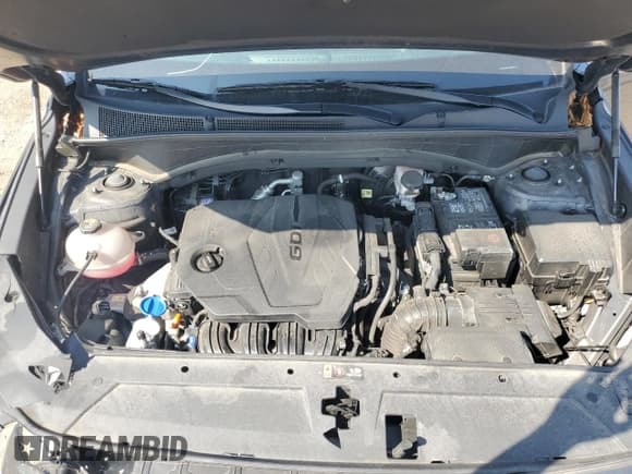 ✅ 2023 Hyundai Santa Fe SEL • VIN: 5NMS3DAJ4PH606054 • Lot: 81433425. Wystawiony na Copart z przebiegiem 46 944 mil. Bezpłatny archiwum sprzedaży aukcyjnych z USA i szczegółowy raport historii pojazdu na DreamBid. Zdjęcie 12.