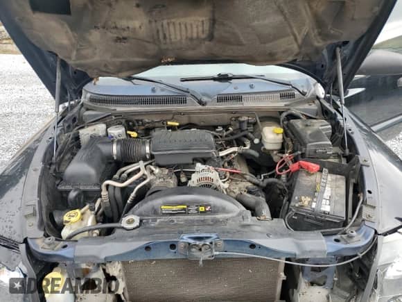 2006 Dodge Dakota SLT z VIN 1D7HE42N16S702822, wystawiony jako Copart lot #44034175 z przebiegiem 141 509 mil mil oraz Szkoda całkowita • Salvage title. Historia ofert i sprzedaży dostępna na DreamBid. Obrazek 11.