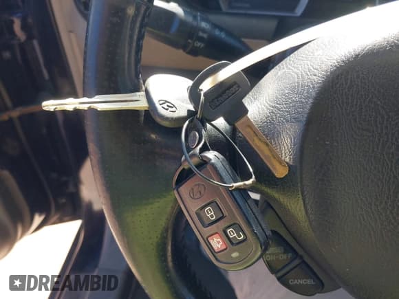 ✅ 2005 Hyundai Santa Fe GLS • VIN: KM8SC13D25U953079 • Lot: 43105682. Wystawiony na IAAI z przebiegiem 168 552 mil. Bezpłatny archiwum sprzedaży aukcyjnych z USA i szczegółowy raport historii pojazdu na DreamBid. Zdjęcie 11.