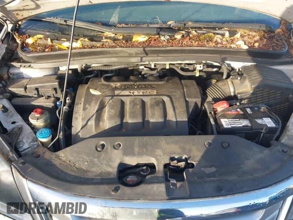 ✅ 2009 Honda Odyssey EX • VIN: 5FNRL38439B049134 • Lot: 43550089. Listed on IAAI with 136,160 mi. Free auction sales archive from the USA and detailed vehicle history report at DreamBid. Image 10.