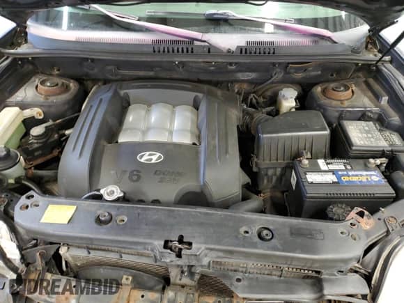 2005 Hyundai Santa Fe GLS z VIN KM8SC73D75U955736, wystawiony jako Copart lot #41362845 z przebiegiem 167 955 mil mil oraz Szkoda całkowita • Salvage title. Historia ofert i sprzedaży dostępna na DreamBid. Obrazek 12.