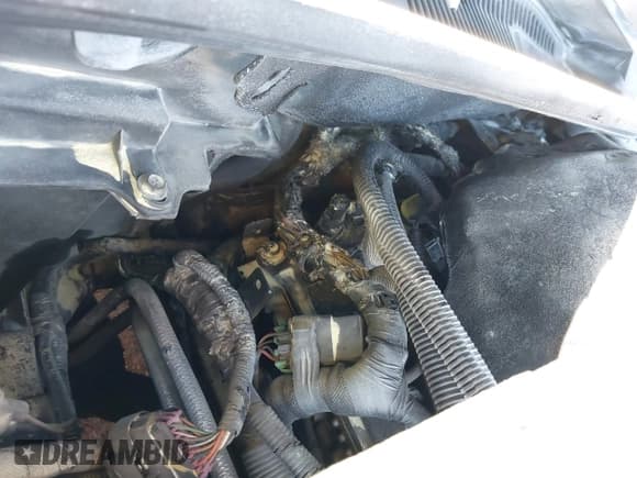 ✅ 2011 Cadillac CTS Premium • VIN: 1G6DP1EDXB0106346 • Lot: 41349978. Listed on IAAI with Not provided. Free auction sales archive from the USA and detailed vehicle history report at DreamBid. Image 12.