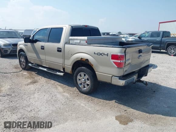 ✅ 2009 Ford F-150 XL • VIN: 1FTPW14V69FA94565 • Lot: 43018967. Wystawiony na IAAI z przebiegiem 356 935 mil. Bezpłatny archiwum sprzedaży aukcyjnych z USA i szczegółowy raport historii pojazdu na DreamBid. Zdjęcie 3.
