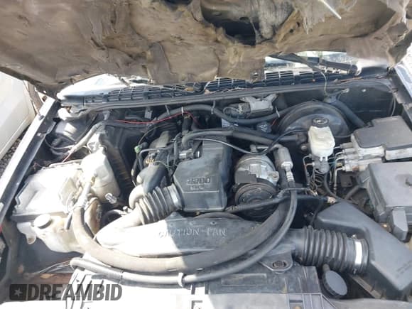 ✅ 1999 Chevrolet S-10 LS • VIN: 1GCCS1446XK139106 • Лот: 41616431. Опубликован ранее на IAAI с пробегом Не указан. Бесплатный доступ к архиву аукционных продаж из США и подробный отчёт об истории автомобиля на DreamBid. Изображение 10.