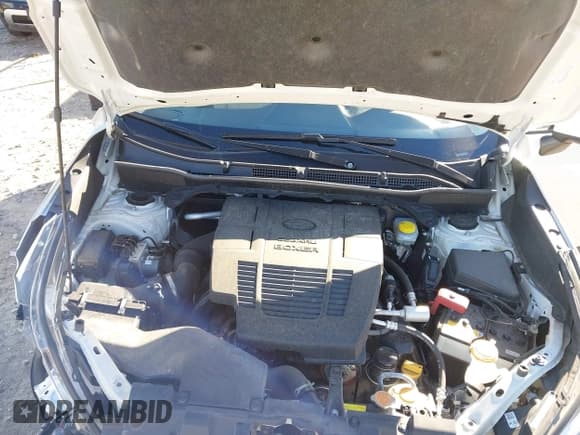 ✅ 2024 Subaru Forester Premium • VIN: JF2SKADC0RH469697 • Lot: 43508807. Wystawiony na IAAI z przebiegiem 32 341 mil. Bezpłatny archiwum sprzedaży aukcyjnych z USA i szczegółowy raport historii pojazdu na DreamBid. Zdjęcie 10.