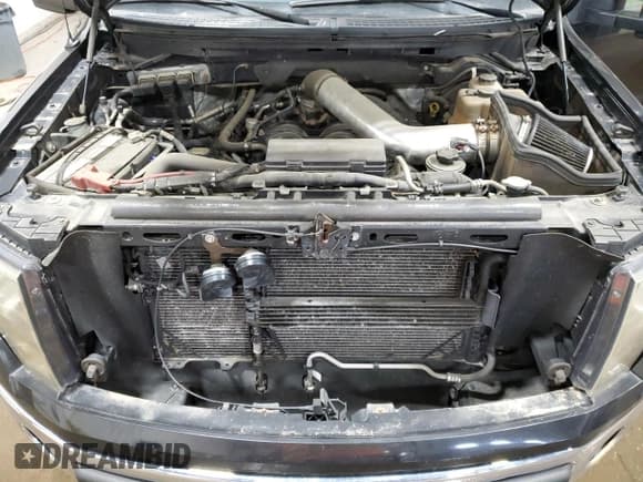 ✅ 2010 Ford F-150 XL • VIN: 1FTFW1EV8AKC36954 • Lot: 52243375. Listed on Copart with 223,118 mi. Free auction sales archive from the USA and detailed vehicle history report at DreamBid. Image 11.