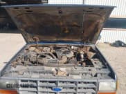 ✅ 1991 Ford Ranger XLT • VIN: 1FTCR15X5MPA41574 • Лот: 43295087. Опубликован ранее на IAAI с пробегом 283 075 миль. Бесплатный доступ к архиву аукционных продаж из США и подробный отчёт об истории автомобиля на DreamBid. Изображение 10.