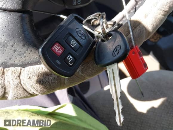 2005 Hyundai Santa Fe GLS with VIN KM8SC73D45U979458, listed as a IAAI auction lot 41667932 with 221,882 mi miles and . Bid and sale history available at DreamBid. Image 11.