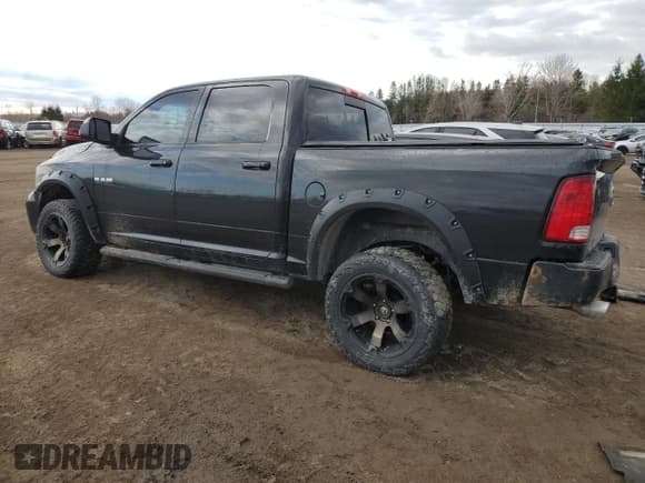 ✅ 2010 Dodge 1500 SLT • VIN: 1D7RV1CT8AS167917 • Lot: 52312985. Wystawiony na Copart z przebiegiem 402 856 mil. Bezpłatny archiwum sprzedaży aukcyjnych z USA i szczegółowy raport historii pojazdu na DreamBid. Zdjęcie 2.