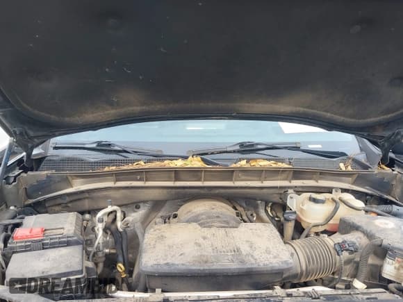 ✅ 2019 GMC Sierra 1500 Denali • VIN: 1GTU9FEL2KZ319671 • Lot: 43776392. Listed on IAAI with 133,327 mi. Free auction sales archive from the USA and detailed vehicle history report at DreamBid. Image 10.