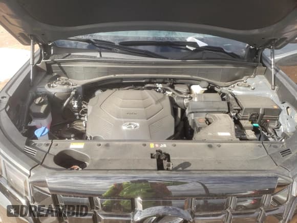 ✅ 2024 Hyundai Palisade XRT • VIN: KM8R3DGE4RU759923 • Лот: 88423985. Опубликован ранее на Copart с пробегом 16 767 миль. Бесплатный доступ к архиву аукционных продаж из США и подробный отчёт об истории автомобиля на DreamBid. Изображение 12.