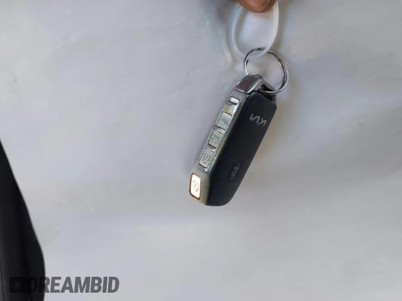 ✅ 2022 Kia Telluride EX • VIN: 5XYP3DHC8NG203134 • Lot: 43413722. Wystawiony na IAAI z przebiegiem 92 000 mil. Bezpłatny archiwum sprzedaży aukcyjnych z USA i szczegółowy raport historii pojazdu na DreamBid. Zdjęcie 11.