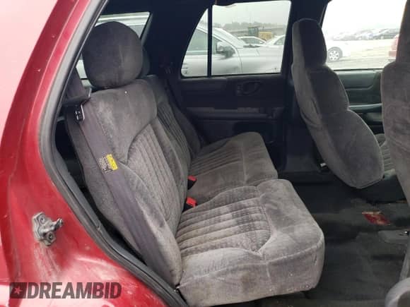 2002 Chevrolet Blazer LS z VIN 1GNDT13W32K241483, wystawiony jako Copart lot #73992044 z przebiegiem 191 544 mil mil oraz Szkoda całkowita • Salvage title. Historia ofert i sprzedaży dostępna na DreamBid. Obrazek 11.