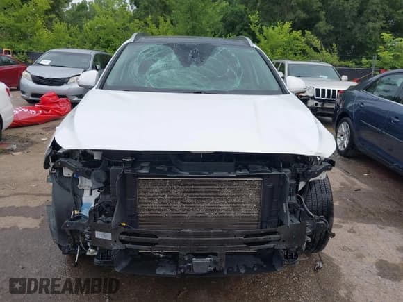 ✅ 2020 Hyundai Santa Fe Limited • VIN: 5NMS53AD9LH204460 • Lot: 42481221. Wystawiony na IAAI z przebiegiem 86 955 mil. Bezpłatny archiwum sprzedaży aukcyjnych z USA i szczegółowy raport historii pojazdu na DreamBid. Zdjęcie 13.