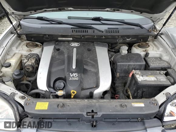 ✅ 2006 Hyundai Santa Fe GLS • VIN: KM8SC13E36U095146 • Лот: 91053565. Опубликован ранее на Copart с пробегом 123 342 миль. Бесплатный доступ к архиву аукционных продаж из США и подробный отчёт об истории автомобиля на DreamBid. Изображение 12.