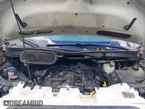 ✅ 2016 Ford Transit • VIN: 1FTYE1ZG8GKA05794 • Lot: 43484712. Wystawiony na IAAI z przebiegiem 228 485 mil. Bezpłatny archiwum sprzedaży aukcyjnych z USA i szczegółowy raport historii pojazdu na DreamBid. Zdjęcie 9.