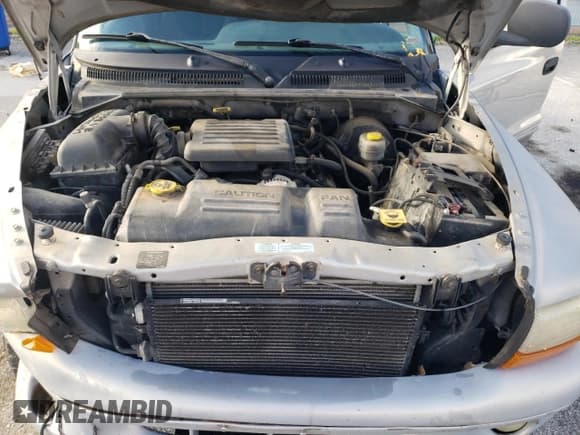 ✅ 2000 Dodge Durango • VIN: 1B4HS28N3YF101693 • Lot: 62966245. Wystawiony na Copart z przebiegiem 146 453 mil. Bezpłatny archiwum sprzedaży aukcyjnych z USA i szczegółowy raport historii pojazdu na DreamBid. Zdjęcie 12.