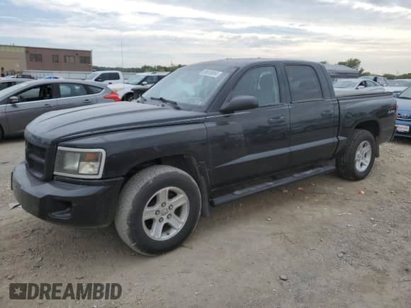 2010 Dodge Dakota Bighorn/Lonestar with VIN 1D7CW3GK5AS173187, listed as a Copart auction lot 68610854 with 192,017 mi miles and Salvage title. Bid and sale history available at DreamBid. Image 1.