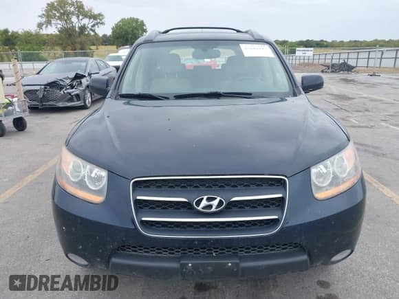 2009 Hyundai Santa Fe Limited z VIN 5NMSH13E49H326475, wystawiony jako IAAI lot #43246189 z przebiegiem 113 838 mil mil oraz . Historia ofert i sprzedaży dostępna na DreamBid. Obrazek 12.