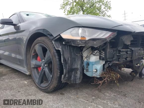 ✅ 2021 Ford Mustang EcoBoost • VIN: 1FA6P8TH7M5132841 • Lot: 42364830. Listed on IAAI with 22,331 mi. Free auction sales archive from the USA and detailed vehicle history report at DreamBid. Image 6.