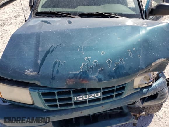 ✅ 1999 Isuzu Rodeo S • VIN: 4S2CM58W4X4330190 • Lot: 81996975. Wystawiony na Copart z przebiegiem 167 032 mil. Bezpłatny archiwum sprzedaży aukcyjnych z USA i szczegółowy raport historii pojazdu na DreamBid. Zdjęcie 12.