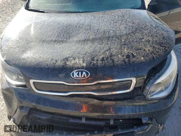 ✅ 2016 Kia Soul + • VIN: KNDJP3A52G7393965 • Lot: 90383395. Wystawiony na Copart z przebiegiem 58 587 mil. Bezpłatny archiwum sprzedaży aukcyjnych z USA i szczegółowy raport historii pojazdu na DreamBid. Zdjęcie 12.