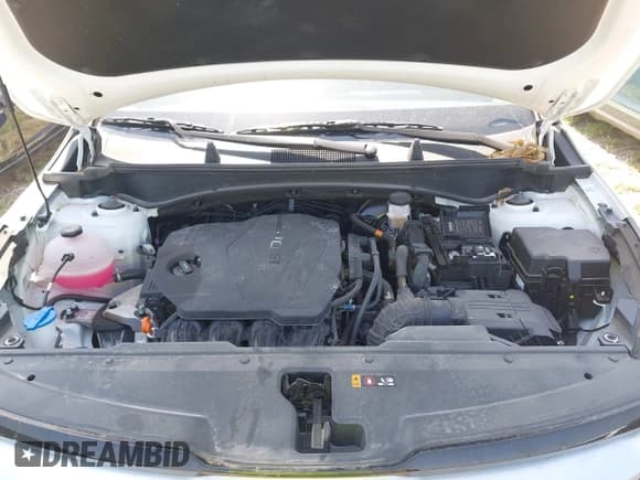 ✅ 2024 Kia Sportage SX-Prestige • VIN: 5XYK53DFXRG226466 • Лот: 41929175. Опубликован ранее на IAAI с пробегом 13 247 миль. Бесплатный доступ к архиву аукционных продаж из США и подробный отчёт об истории автомобиля на DreamBid. Изображение 10.