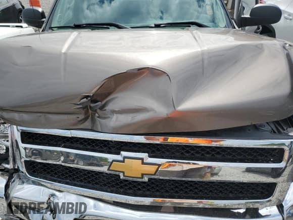 ✅ 2013 Chevrolet Silverado 1500 LT • VIN: 3GCPCSE0XDG172161 • Lot: 60872114. Listed on Copart with 303,323 mi. Free auction sales archive from the USA and detailed vehicle history report at DreamBid. Image 11.