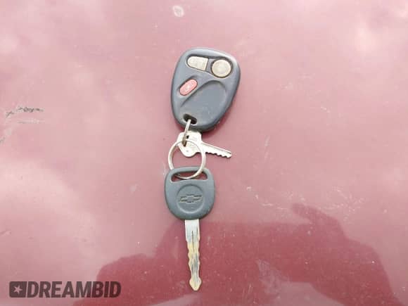 1999 Chevrolet Silverado 1500 LS z VIN 1GCEC14V0XZ164153, wystawiony jako IAAI lot #43562553 z przebiegiem 282 396 mil mil oraz . Historia ofert i sprzedaży dostępna na DreamBid. Obrazek 11.