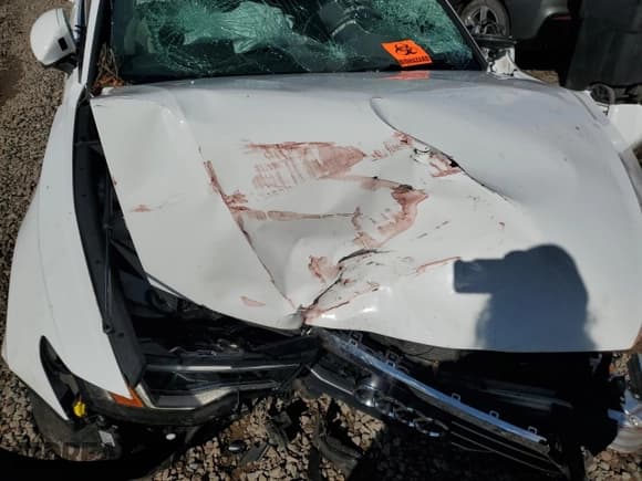 ✅ 2020 Audi A6 Premium Plus • VIN: WAUE8AF22LN064882 • Лот: 83873605. Опубликован ранее на Copart с пробегом Не указан. Бесплатный доступ к архиву аукционных продаж из США и подробный отчёт об истории автомобиля на DreamBid. Изображение 11.